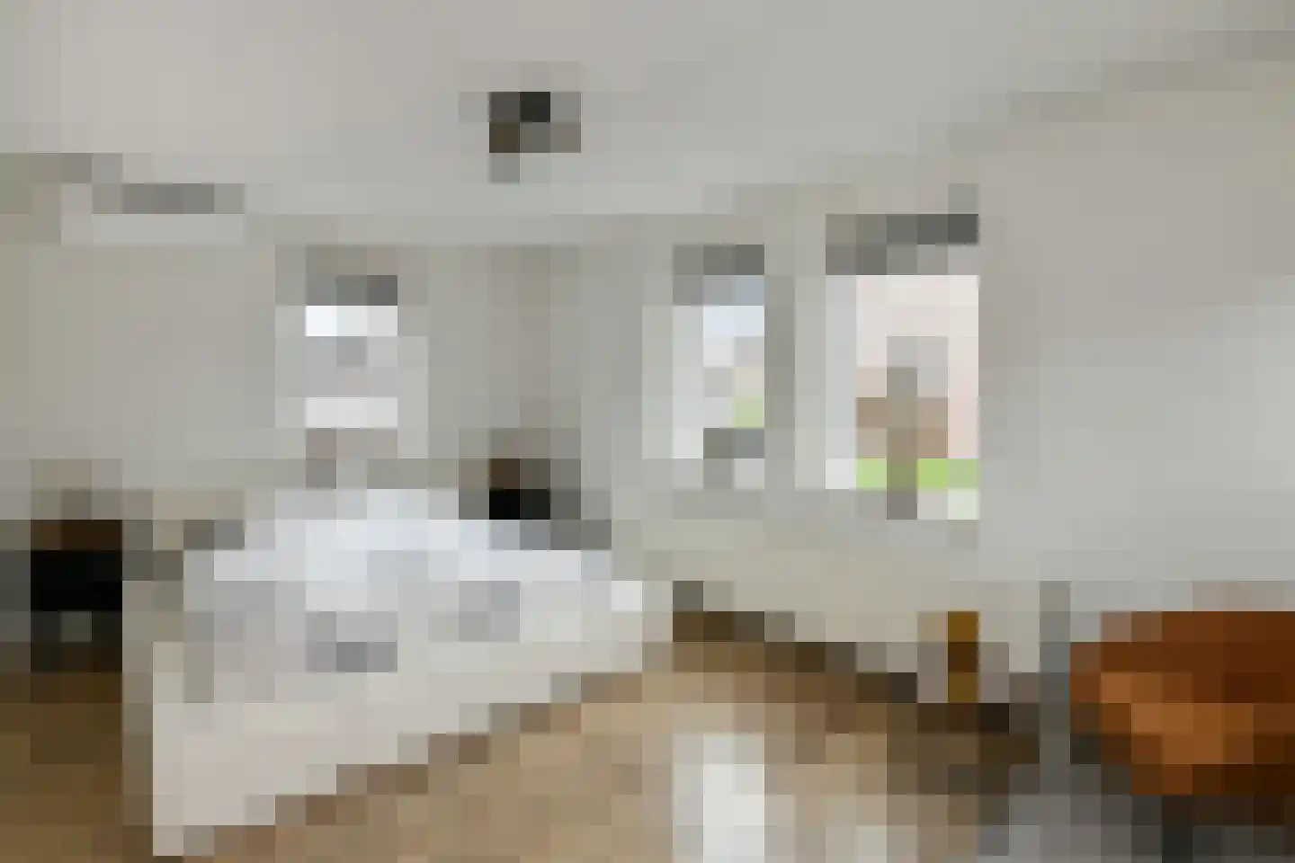 Tuinderserf 5 Arnhem thumbnail 25