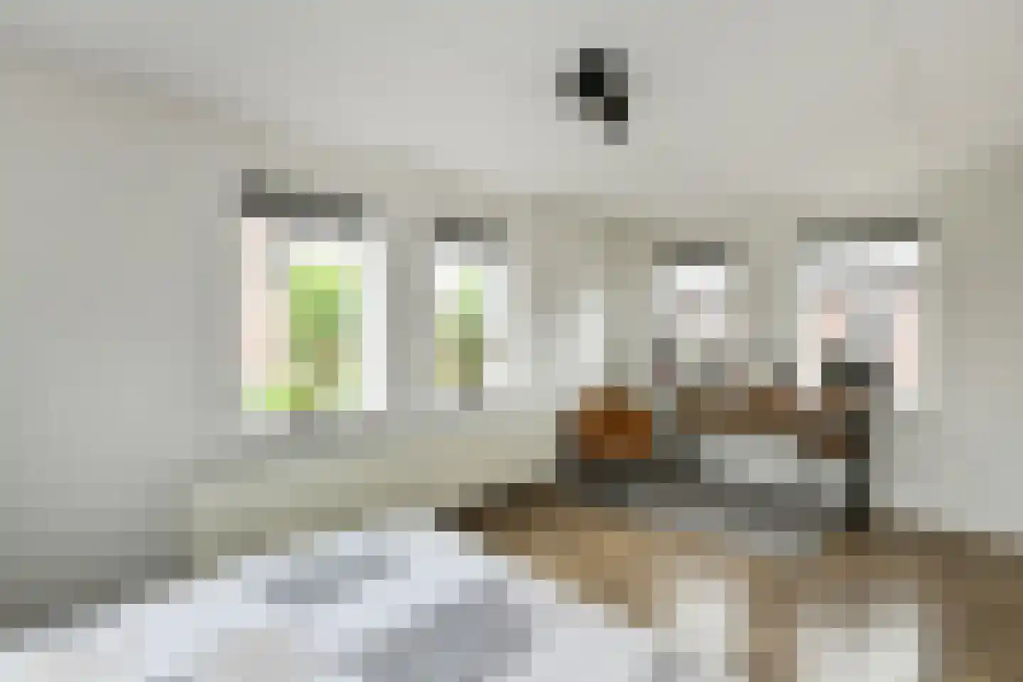 Tuinderserf 5 Arnhem thumbnail 26