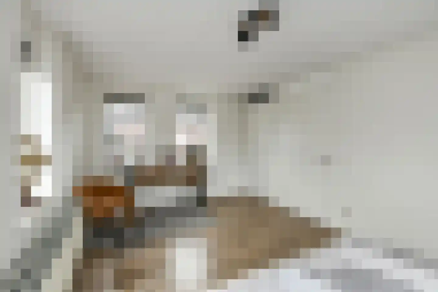 Tuinderserf 5 Arnhem thumbnail 27