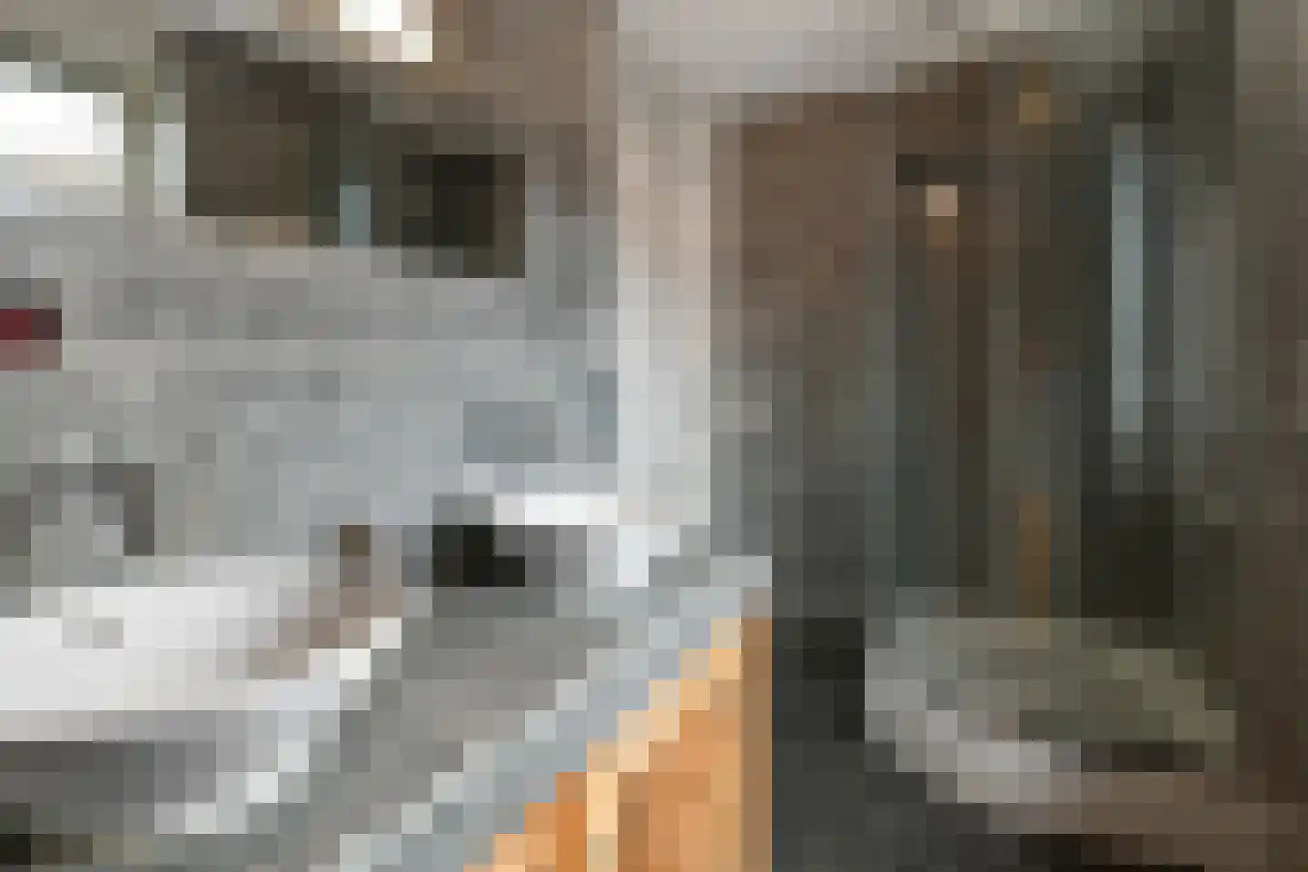 Tuinderserf 5 Arnhem thumbnail 37