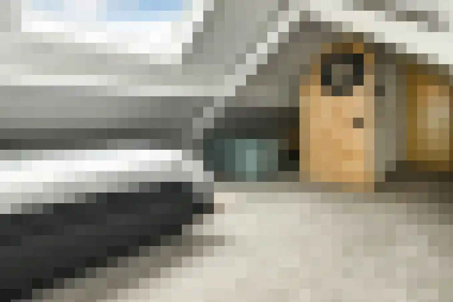 Tuinderserf 5 Arnhem thumbnail 41