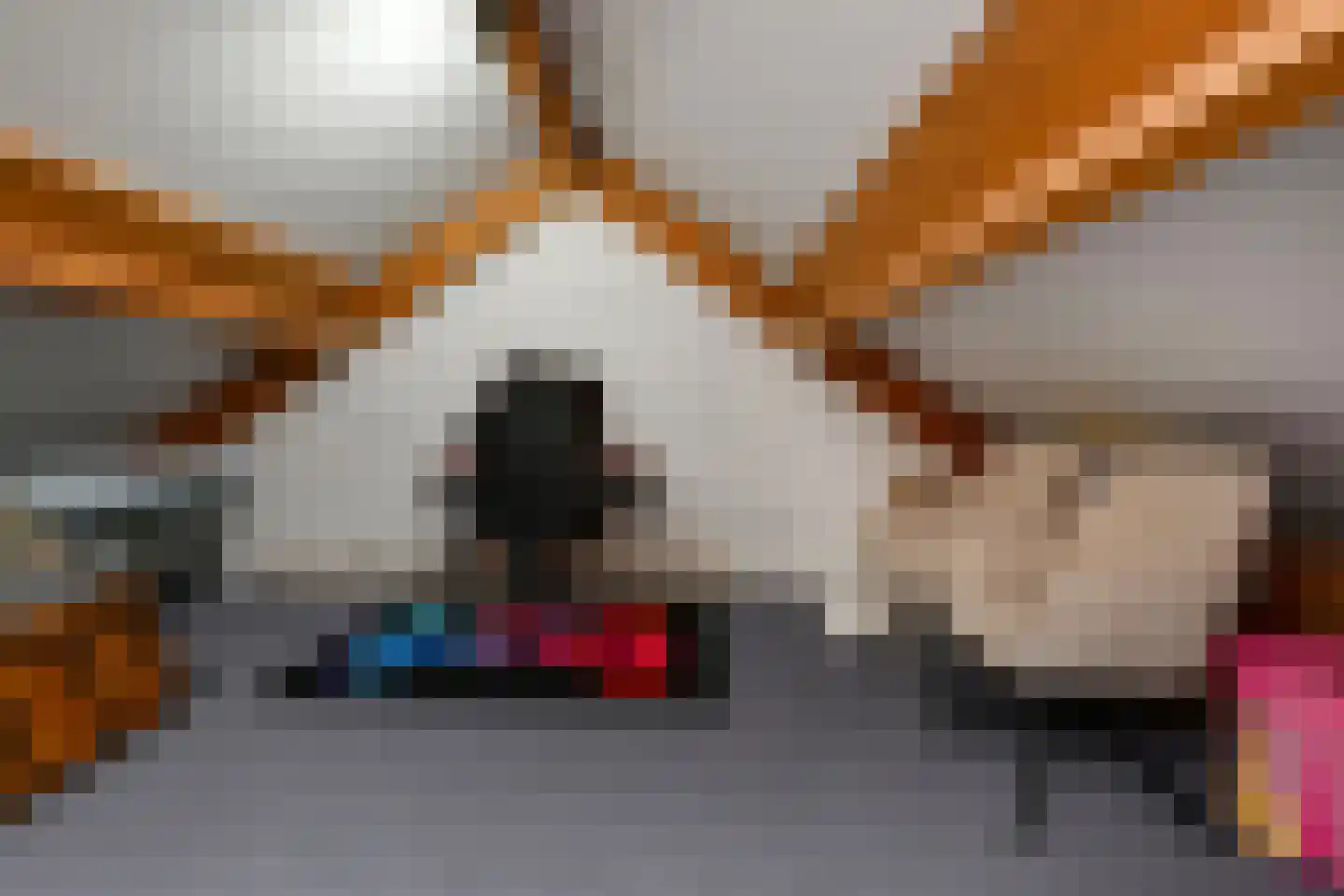 Tuinderserf 5 Arnhem thumbnail 42