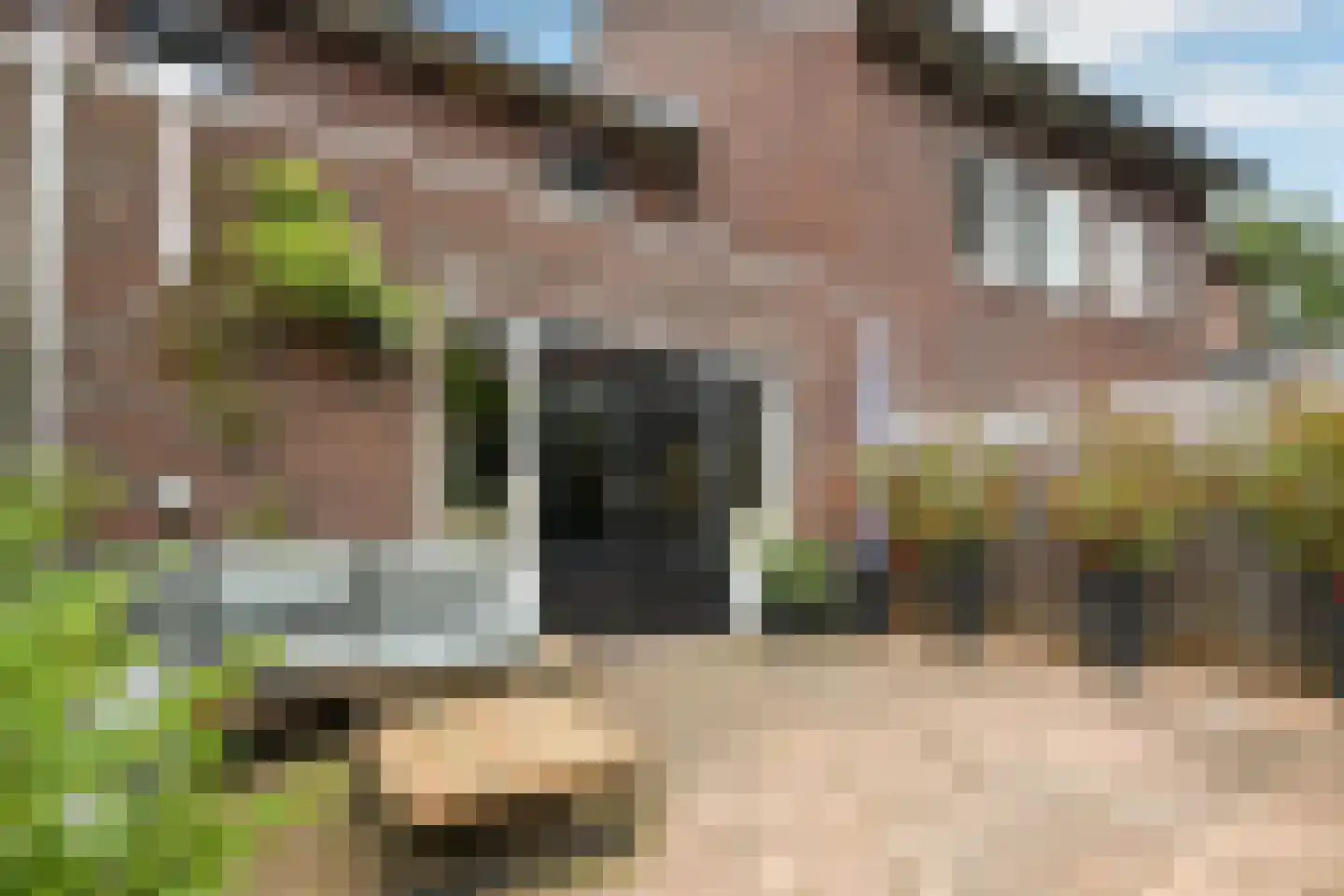 Tuinderserf 5 Arnhem thumbnail 47