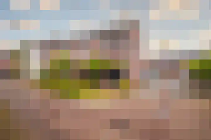 Tuinderserf 5 Arnhem thumbnail 5