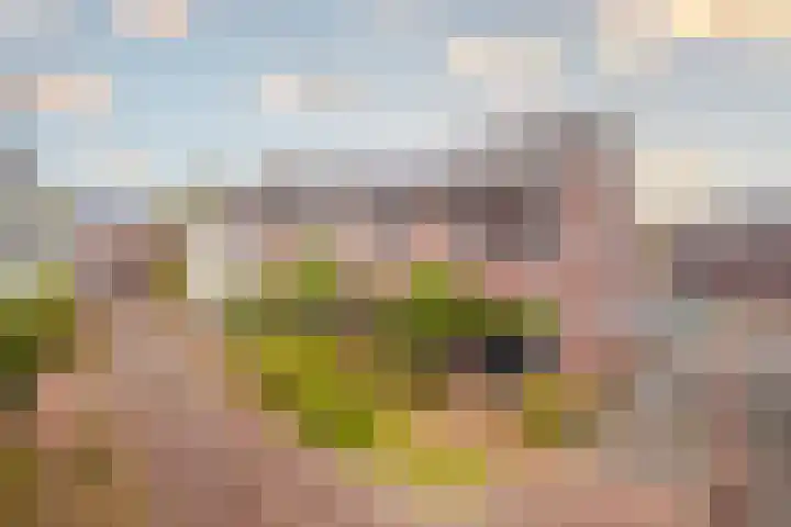 Tuinderserf 5 Arnhem thumbnail 6