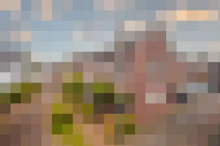 Tuinderserf 5 Arnhem thumbnail 7