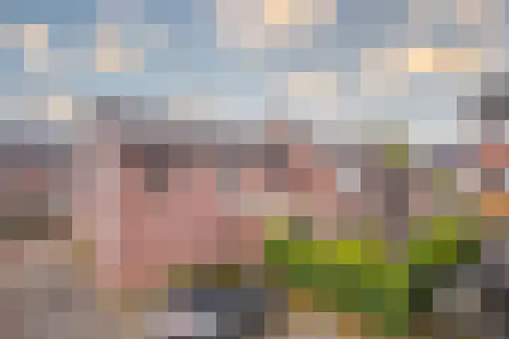 Tuinderserf 5 Arnhem thumbnail 8