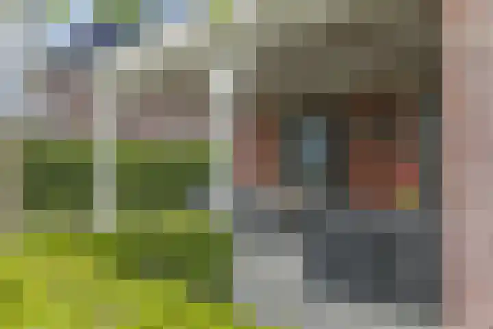 Tuindershof 13 Enkhuizen thumbnail 4