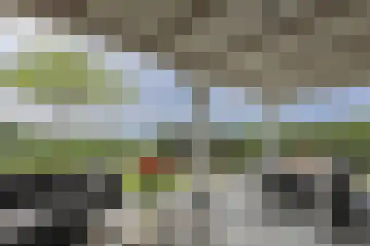 Tuindershof 13 Enkhuizen thumbnail 50