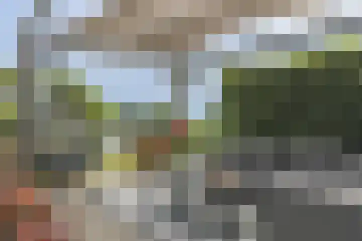 Tuindershof 13 Enkhuizen thumbnail 7