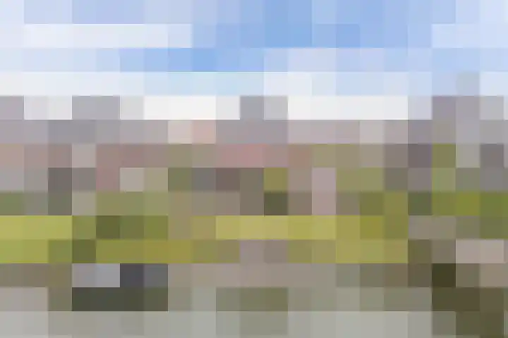Tuindershof 13 Enkhuizen thumbnail 8