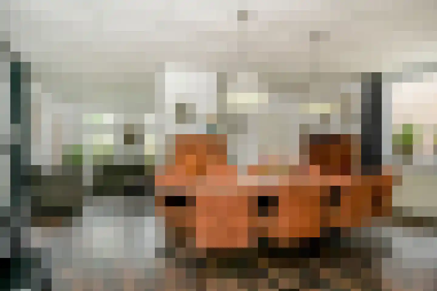 Tuinderslaan 12 Ede thumbnail 12