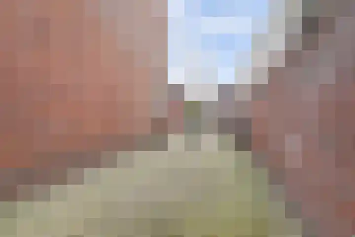 Tuinderslaan 28 Ede thumbnail 47