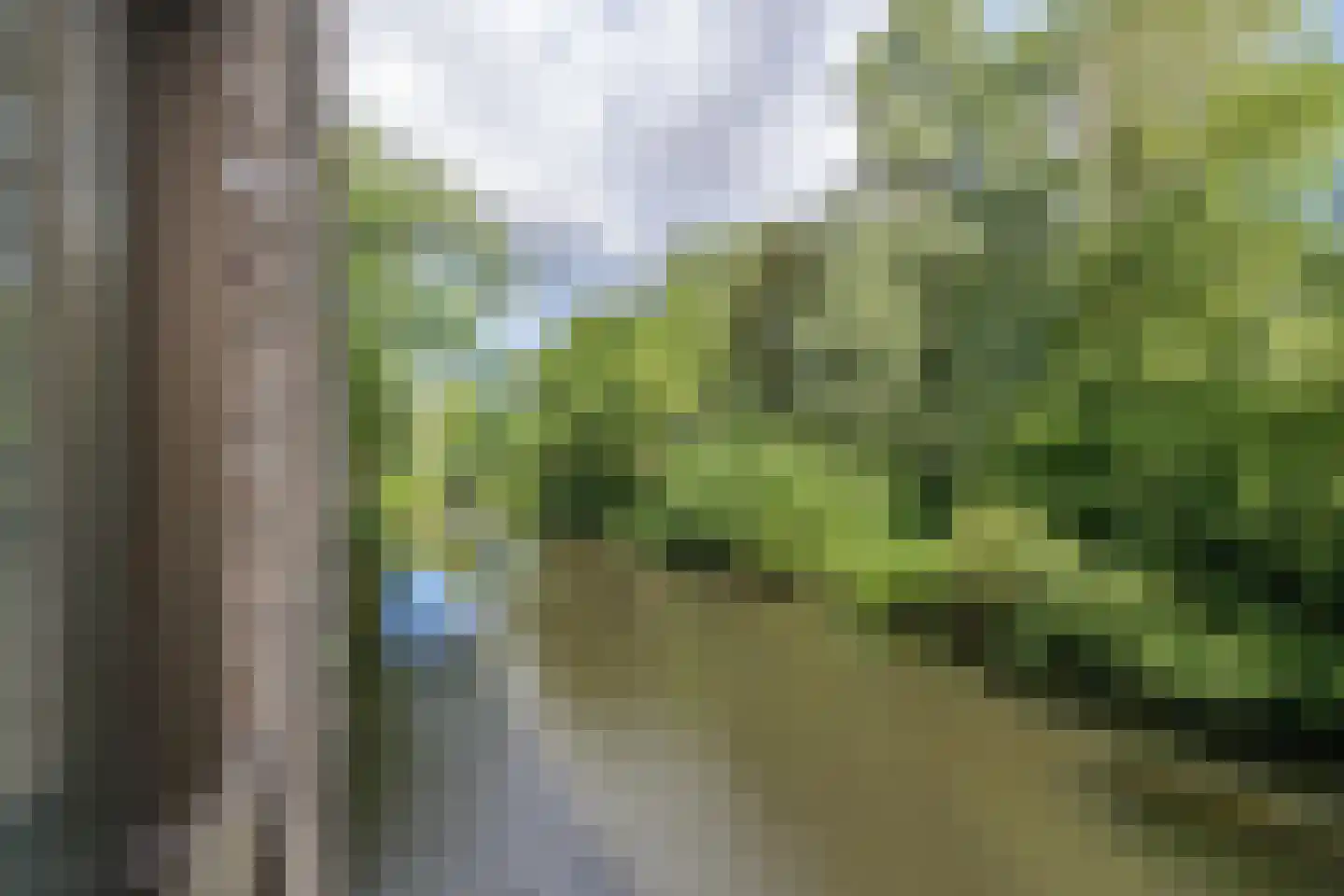 Tuinderspad 102 Alkmaar thumbnail 24