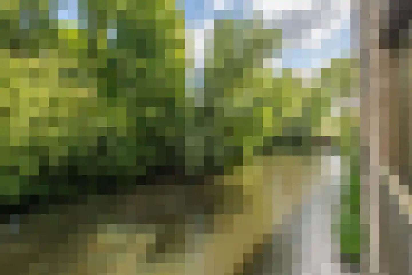 Tuinderspad 102 Alkmaar thumbnail 25