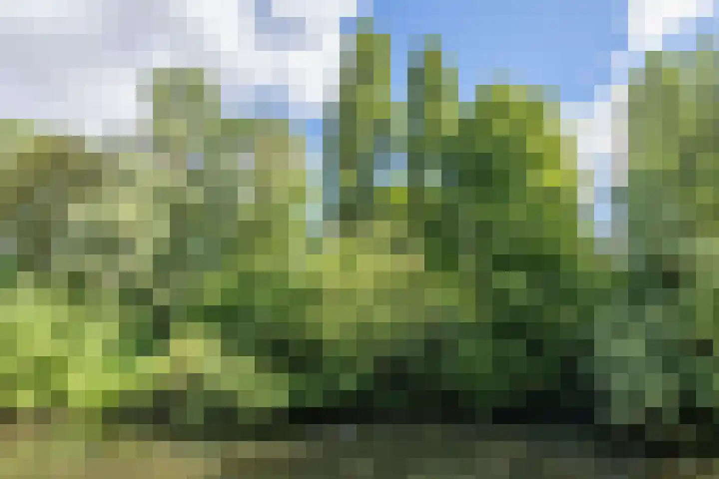 Tuinderspad 102 Alkmaar thumbnail 26