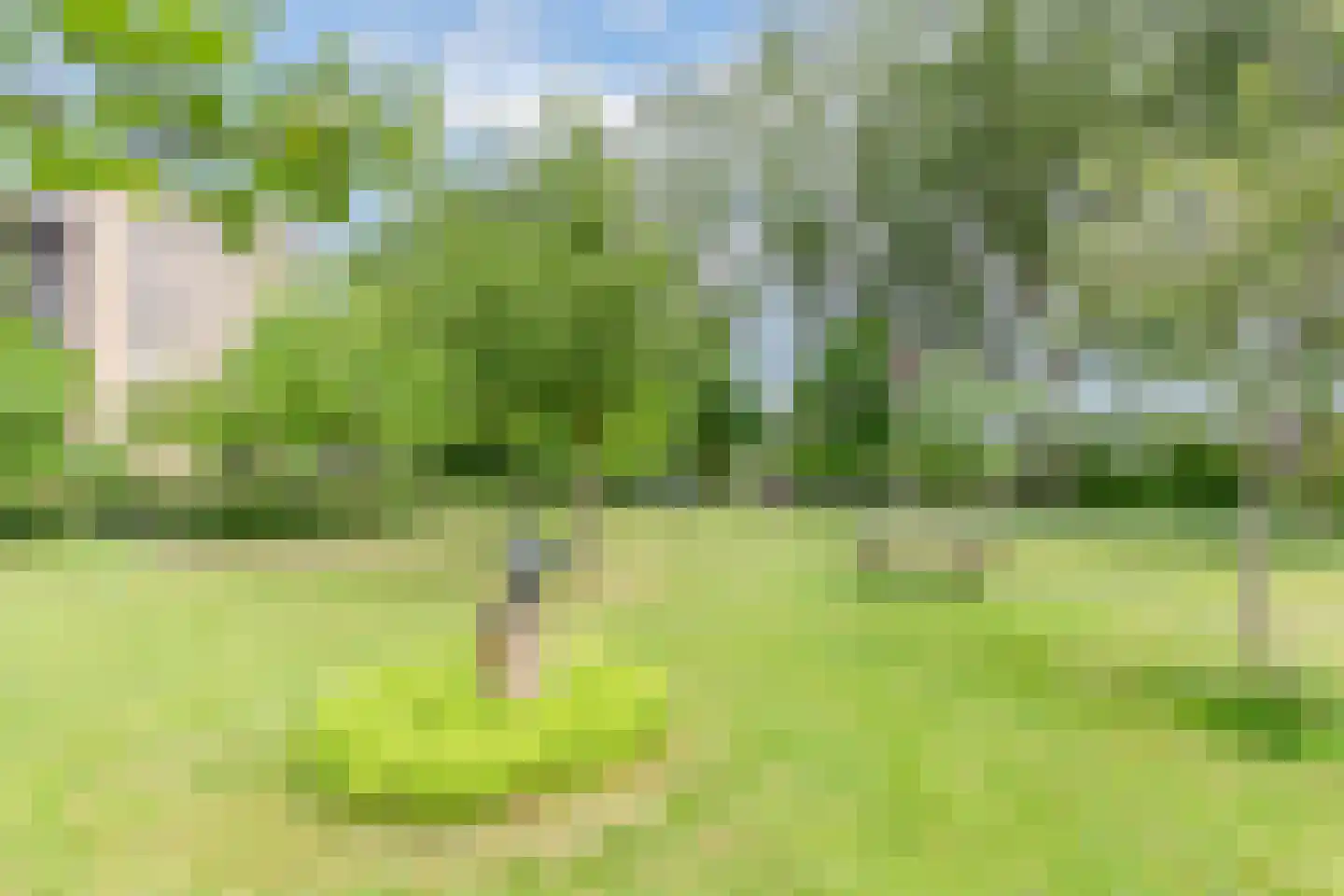 Tuinderspad 102 Alkmaar thumbnail 36