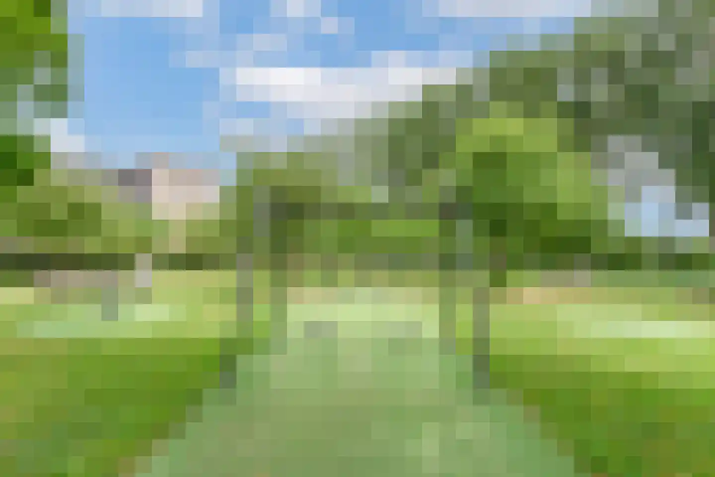 Tuinderspad 102 Alkmaar thumbnail 37
