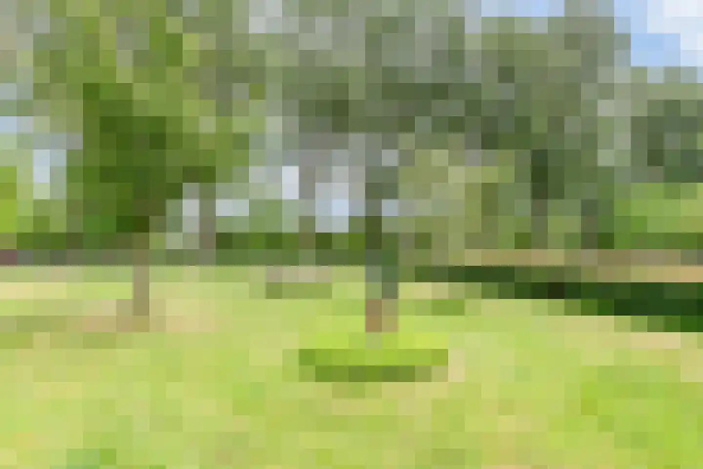Tuinderspad 102 Alkmaar thumbnail 38
