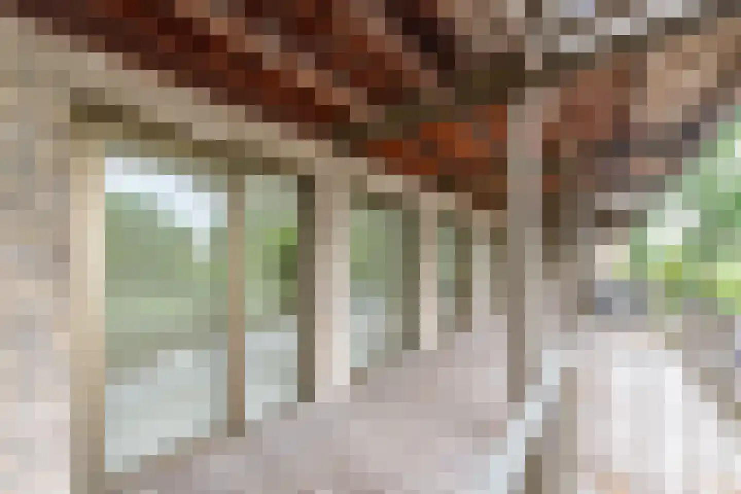 Tuinderspad 108 Alkmaar thumbnail 11