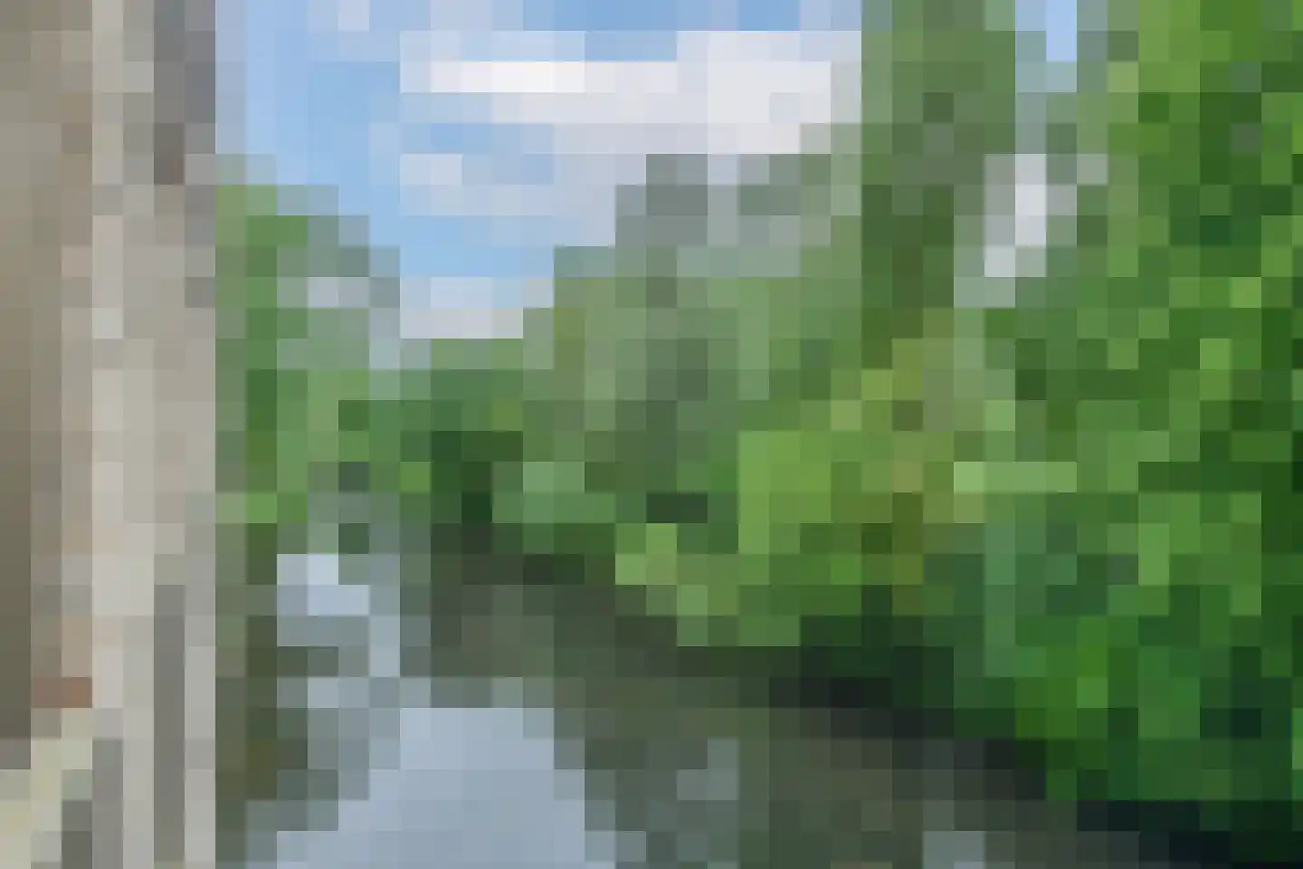 Tuinderspad 108 Alkmaar thumbnail 23