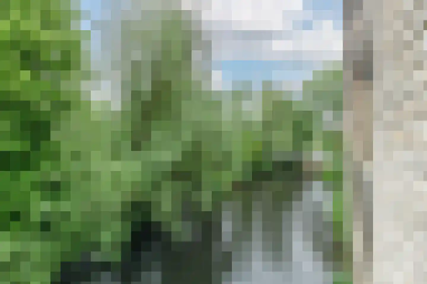 Tuinderspad 108 Alkmaar thumbnail 24