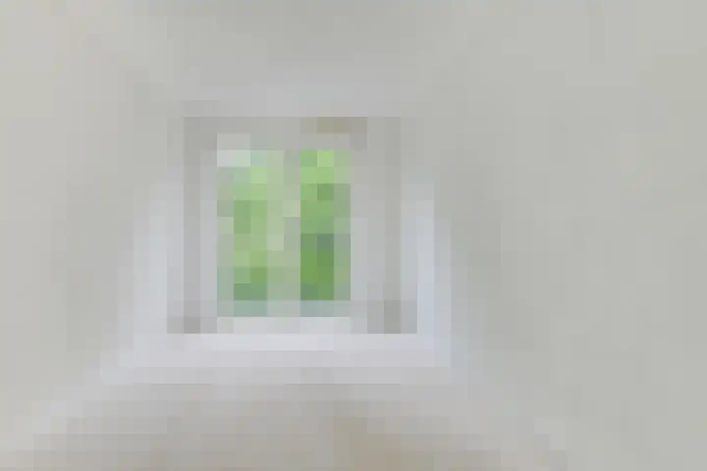 Tuinderspad 108 Alkmaar thumbnail 26