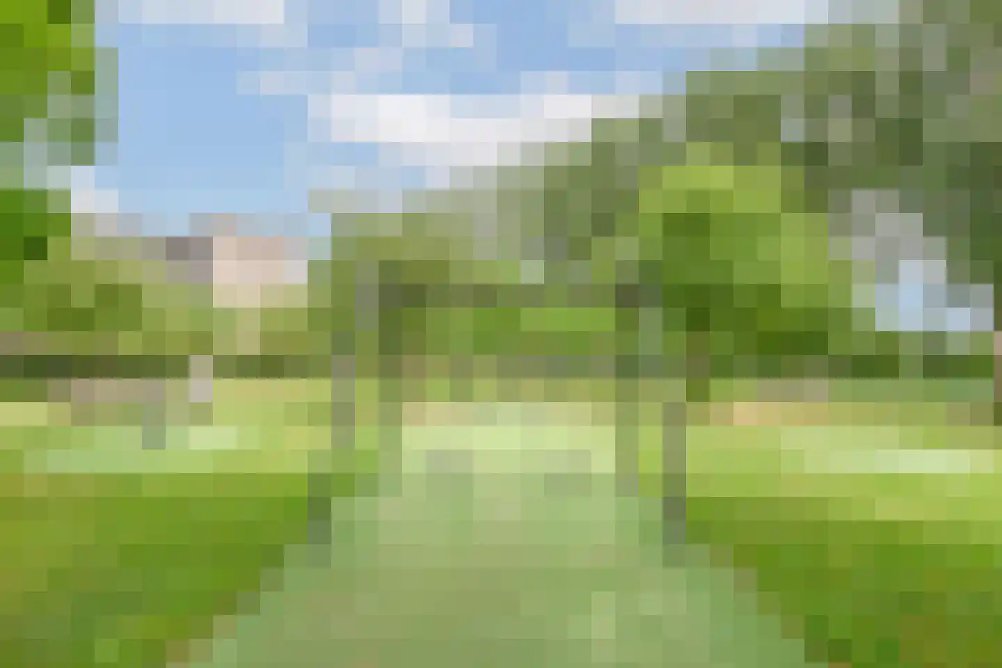 Tuinderspad 108 Alkmaar thumbnail 42