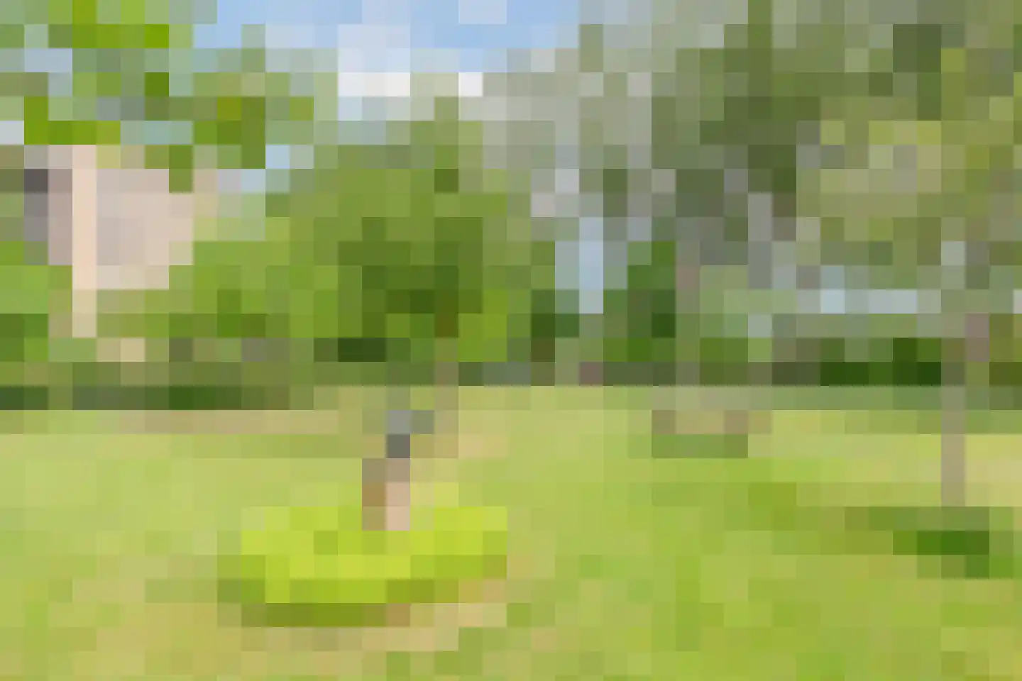 Tuinderspad 108 Alkmaar thumbnail 43