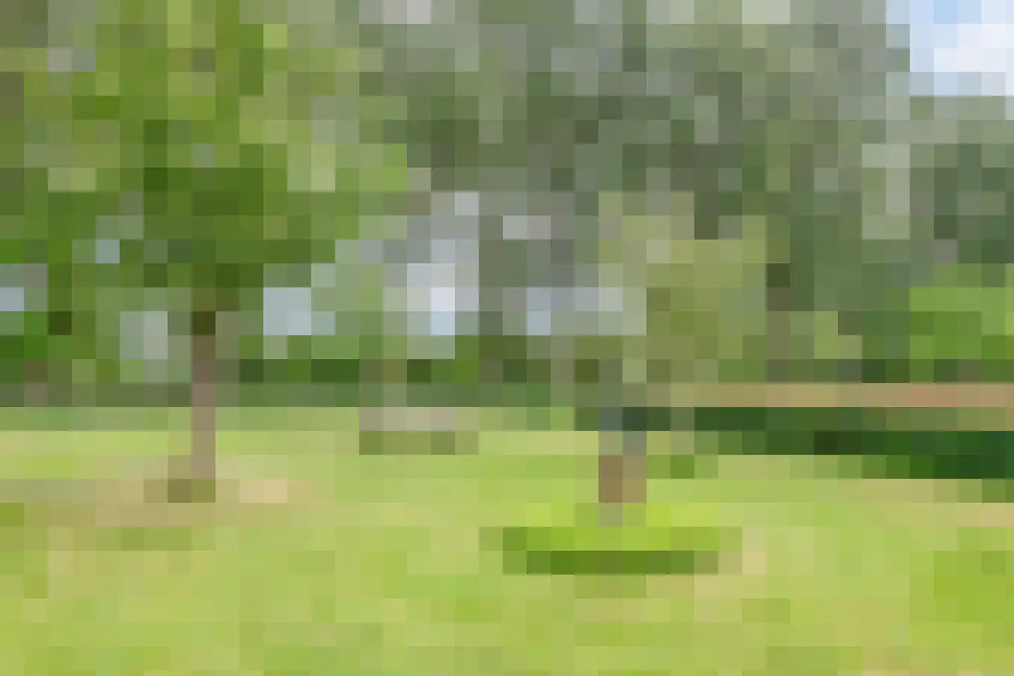 Tuinderspad 108 Alkmaar thumbnail 8