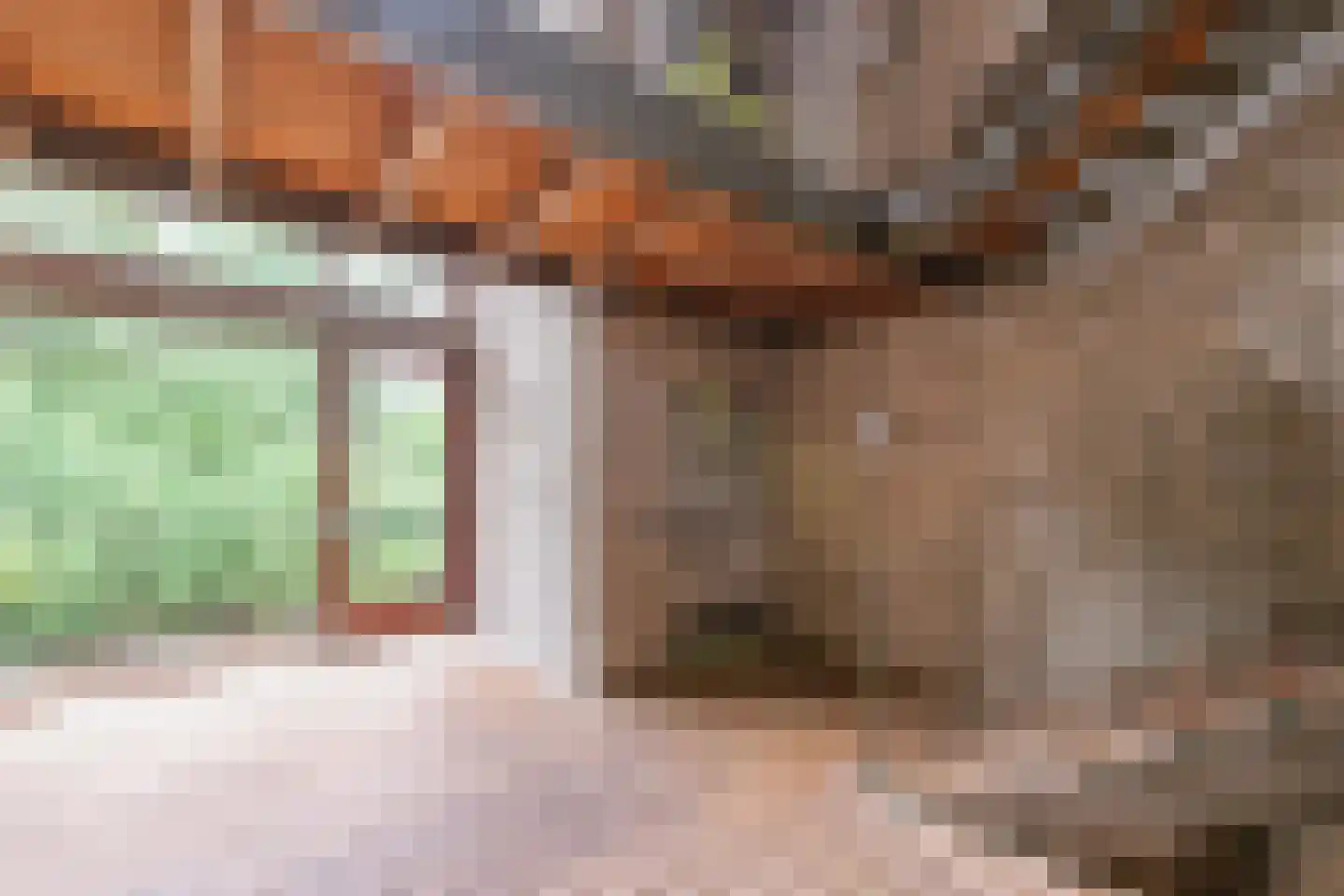 Tuinderspad 108 Alkmaar thumbnail 9