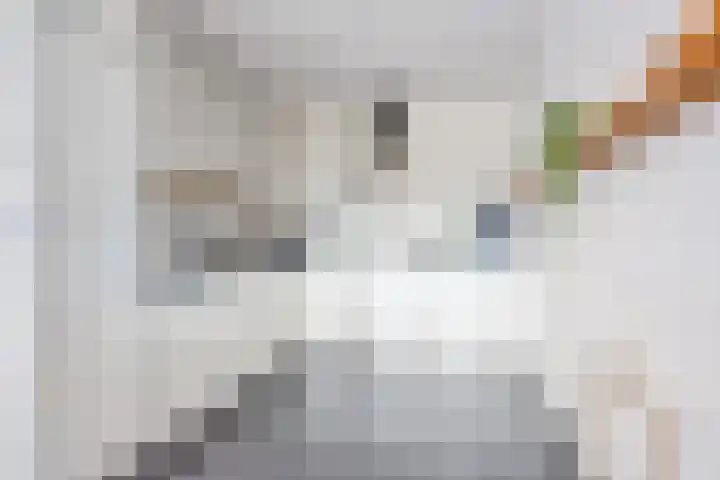 Tuinderspad 118 Alkmaar thumbnail 14