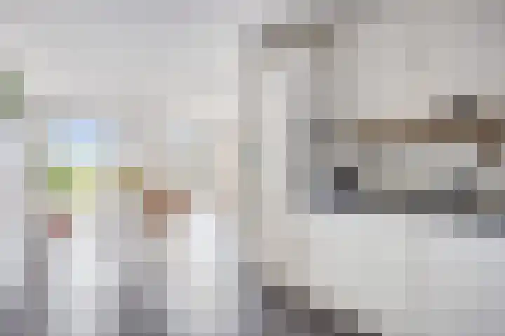 Tuinderspad 118 Alkmaar thumbnail 16