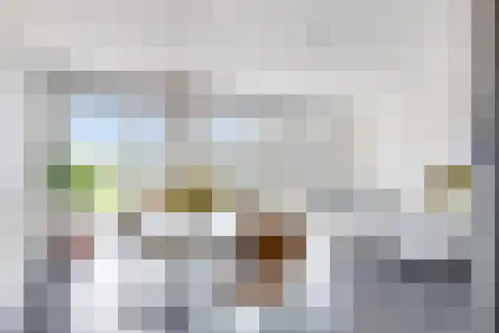 Tuinderspad 118 Alkmaar thumbnail 17