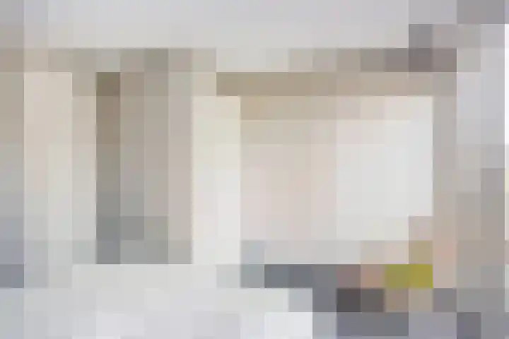 Tuinderspad 118 Alkmaar thumbnail 20