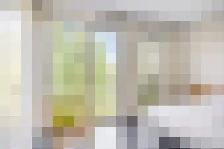 Tuinderspad 118 Alkmaar thumbnail 21