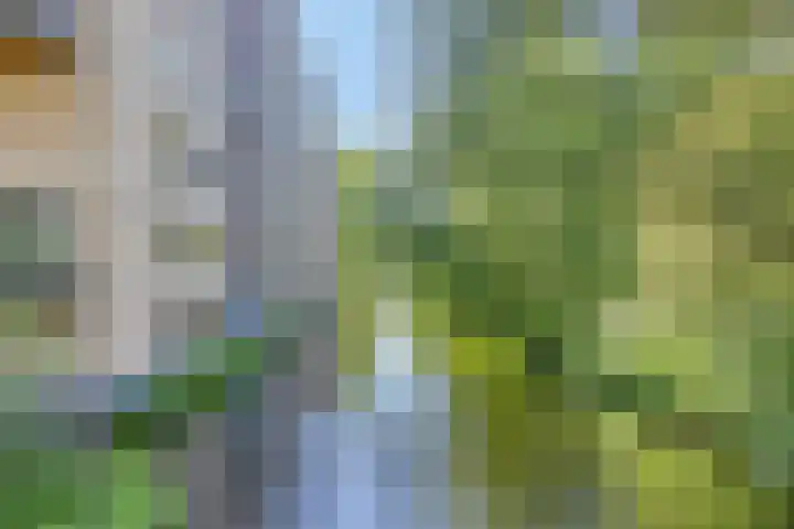 Tuinderspad 118 Alkmaar thumbnail 22