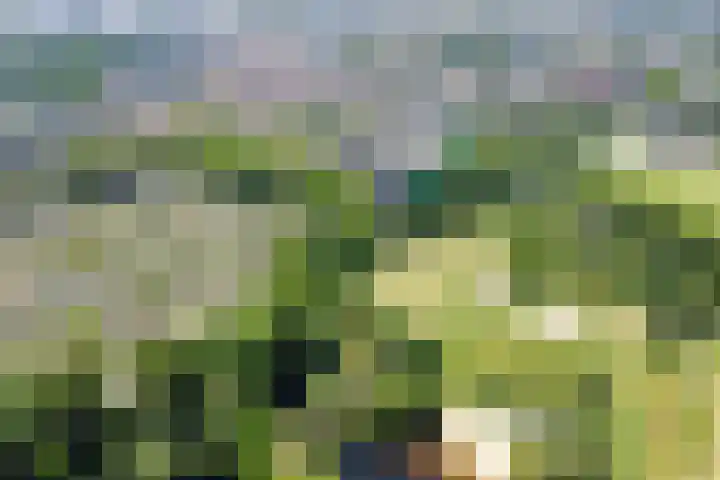Tuinderspad 118 Alkmaar thumbnail 23