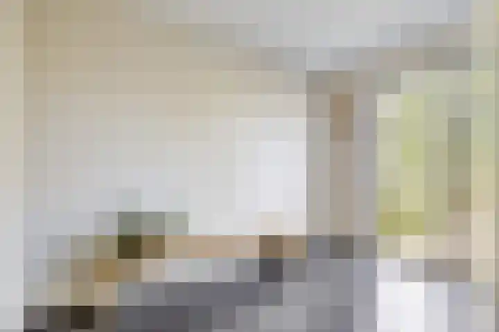 Tuinderspad 118 Alkmaar thumbnail 28