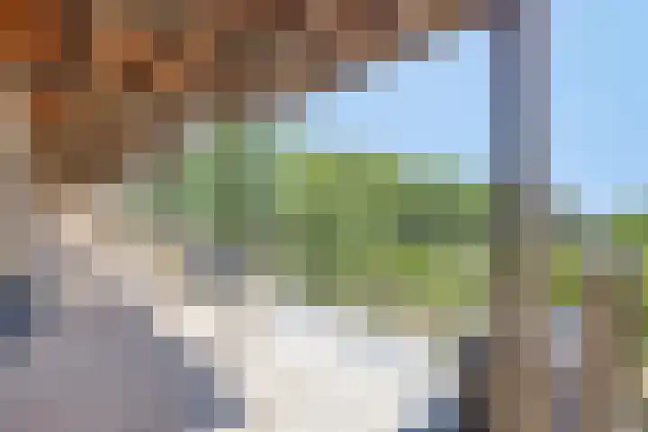 Tuinderspad 118 Alkmaar thumbnail 31