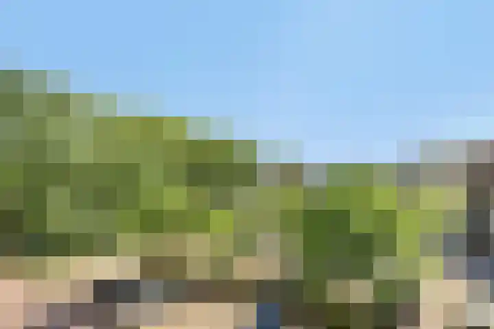 Tuinderspad 118 Alkmaar thumbnail 32