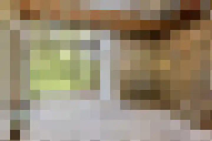 Tuinderspad 118 Alkmaar thumbnail 34