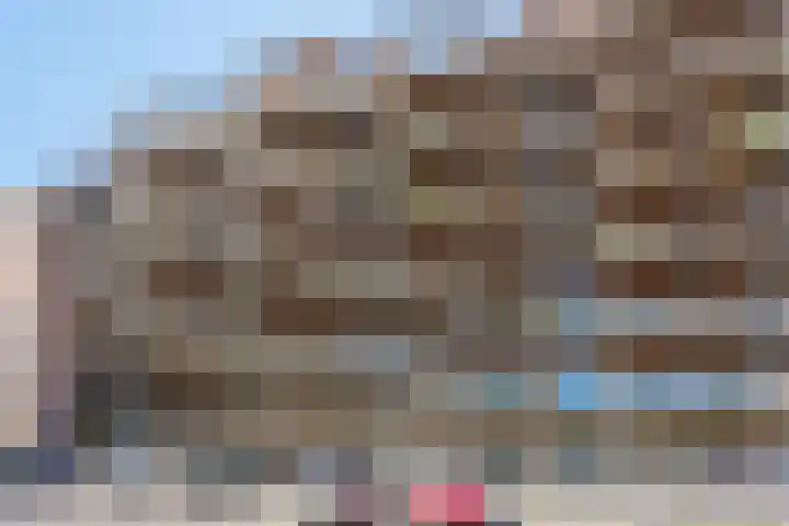 Tuinderspad 118 Alkmaar thumbnail 37