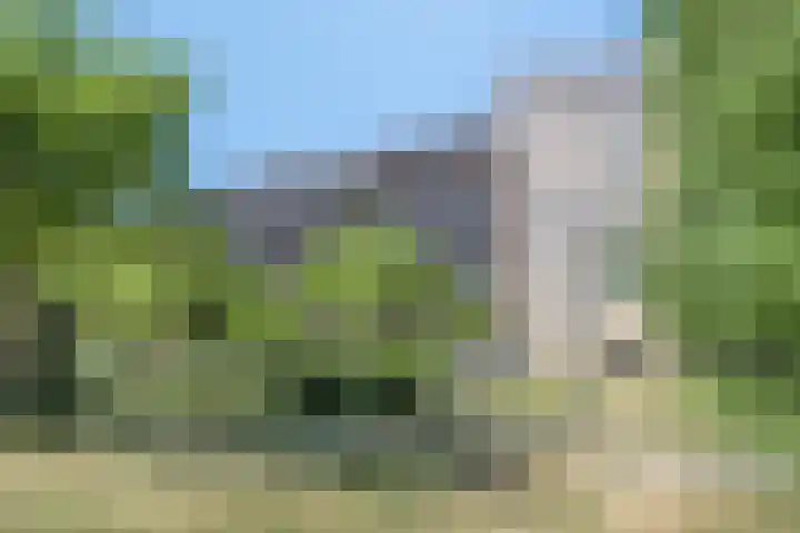 Tuinderspad 118 Alkmaar thumbnail 38