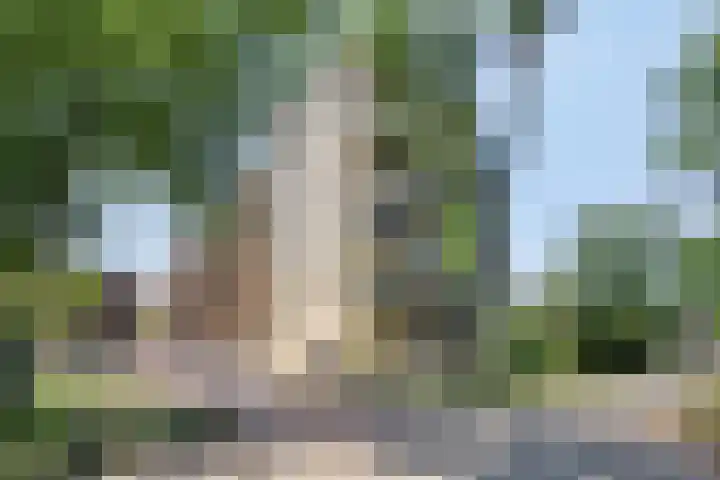 Tuinderspad 118 Alkmaar thumbnail 39