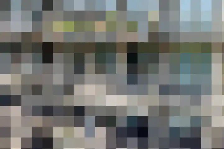 Tuinderspad 118 Alkmaar thumbnail 4
