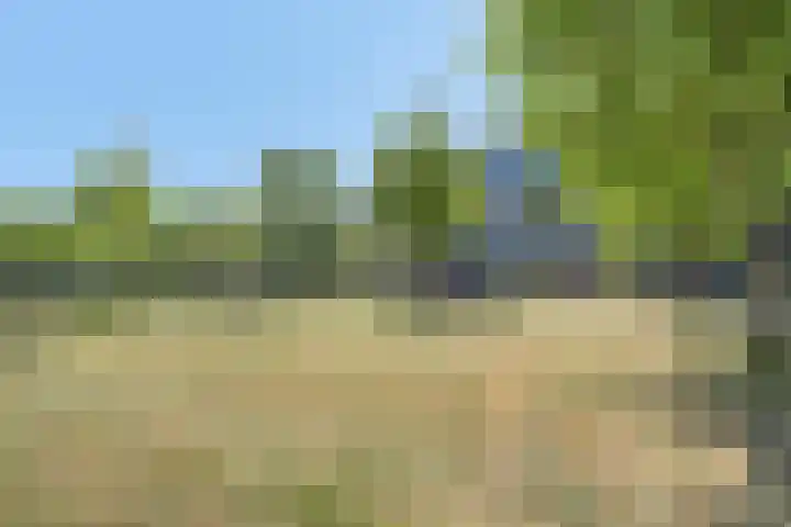 Tuinderspad 118 Alkmaar thumbnail 40