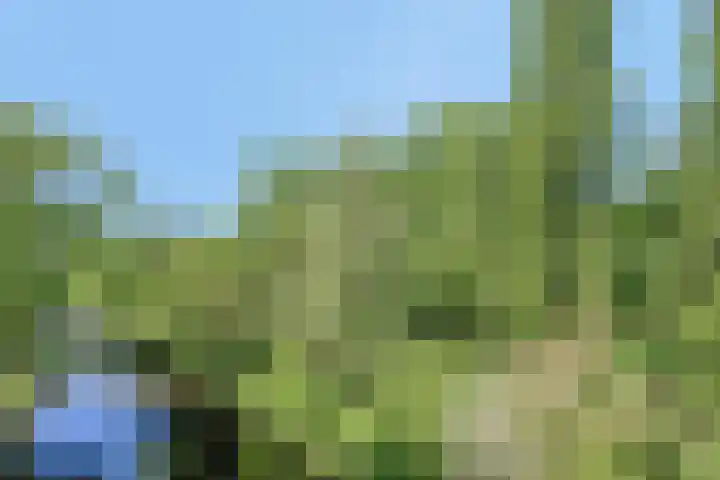 Tuinderspad 118 Alkmaar thumbnail 41