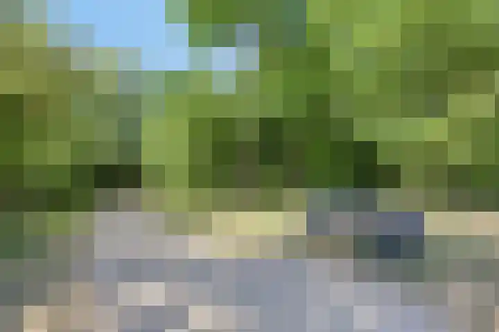 Tuinderspad 118 Alkmaar thumbnail 42