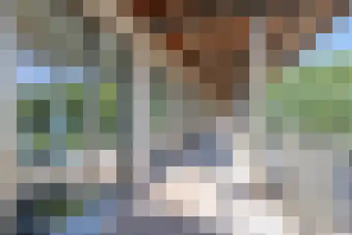 Tuinderspad 118 Alkmaar thumbnail 5